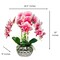 Giulia Real Touch Pink White Orchid Arrangement in Beveled Silver Vase